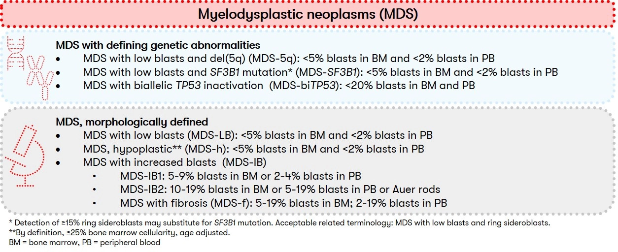 mds-whoclassification2022-fig1-1600x-q99.jpg